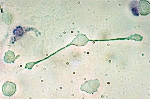 14264937_085068.jpg
